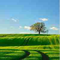 爬‍虫﻿源​码‍